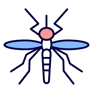 Dengue